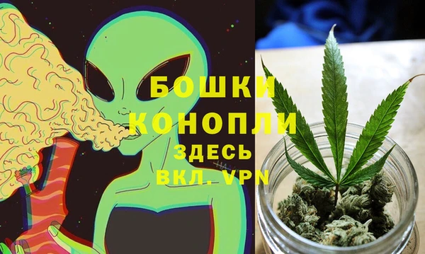 твердый Горняк