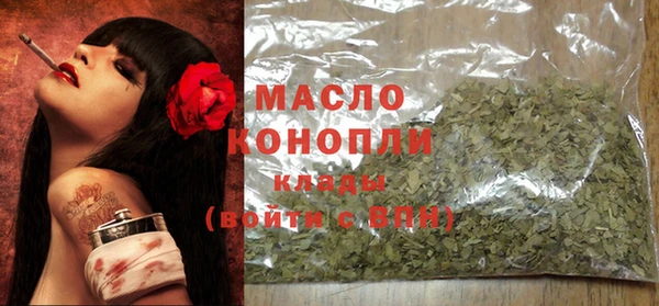 твердый Горняк