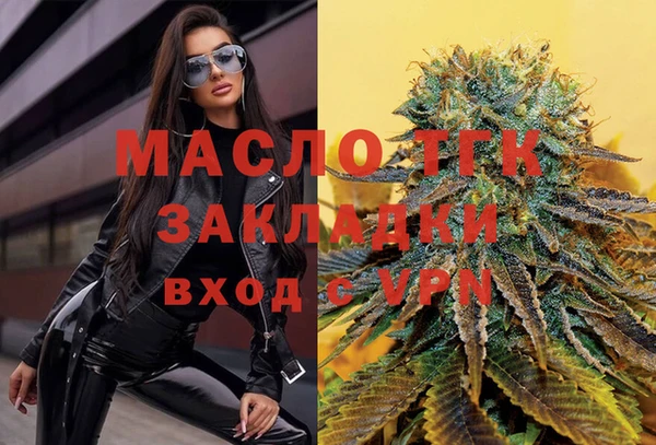твердый Горняк