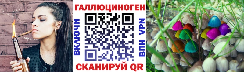 Купить  Олёкминск  Галлюциногенные грибы Cubensis 